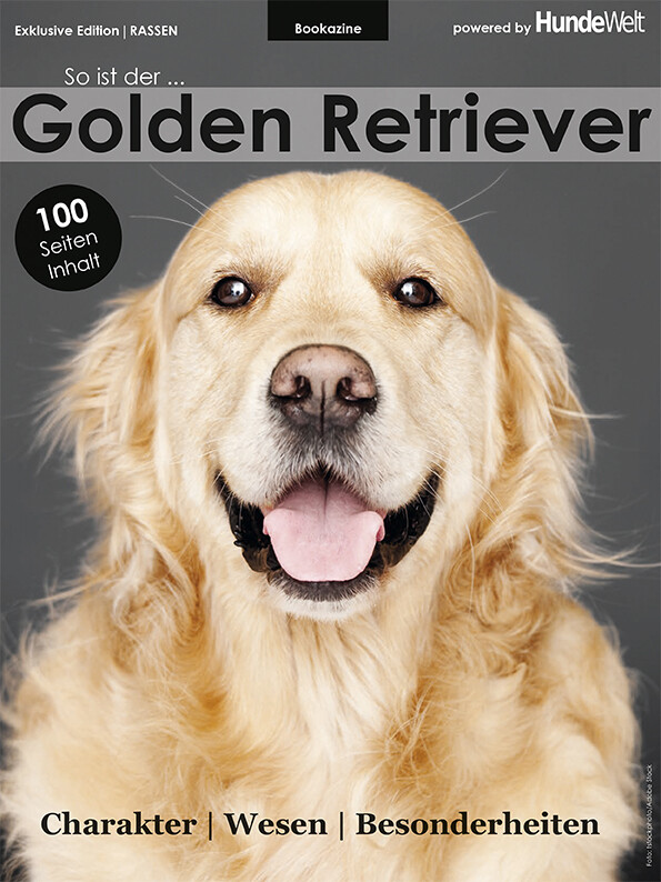 Golden Retriever (Digital, Einzelheft)