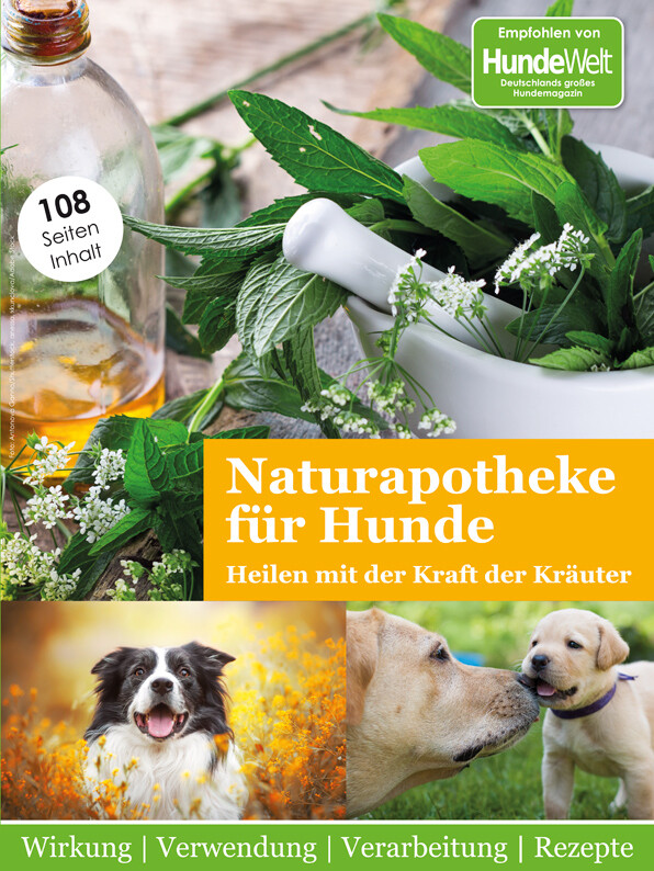 Naturapotheke für Hunde (Digital, Einzelheft)