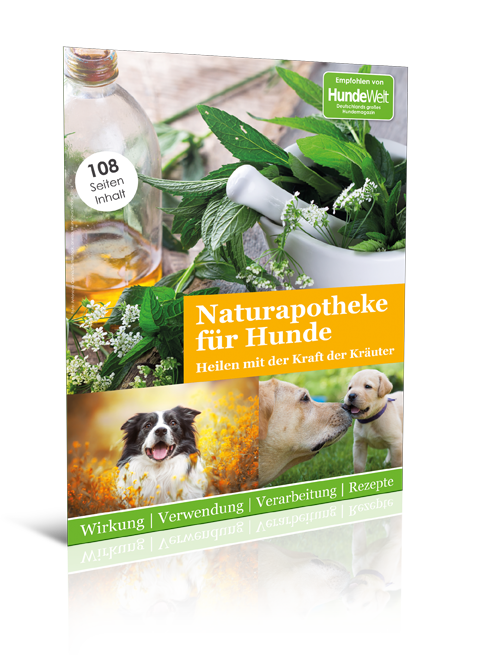 Naturapotheke für Hunde (Digital, Einzelheft)