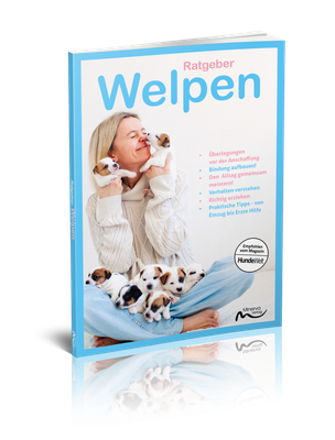 Ratgeber Welpen (Print,Buch) Ratgeber Welpen (Print,Buch)