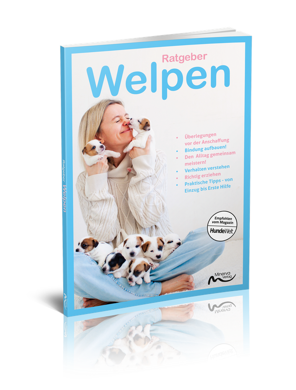 Ratgeber Welpen (Print,Buch)
