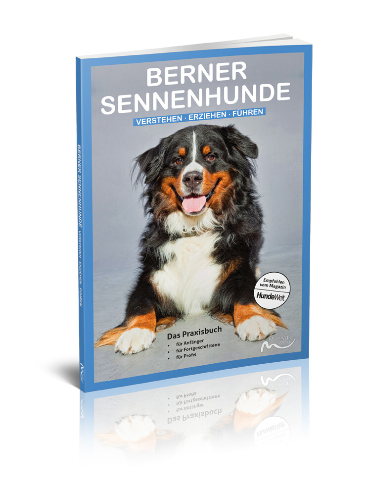 Berner Sennenhunde (Print,Buch)