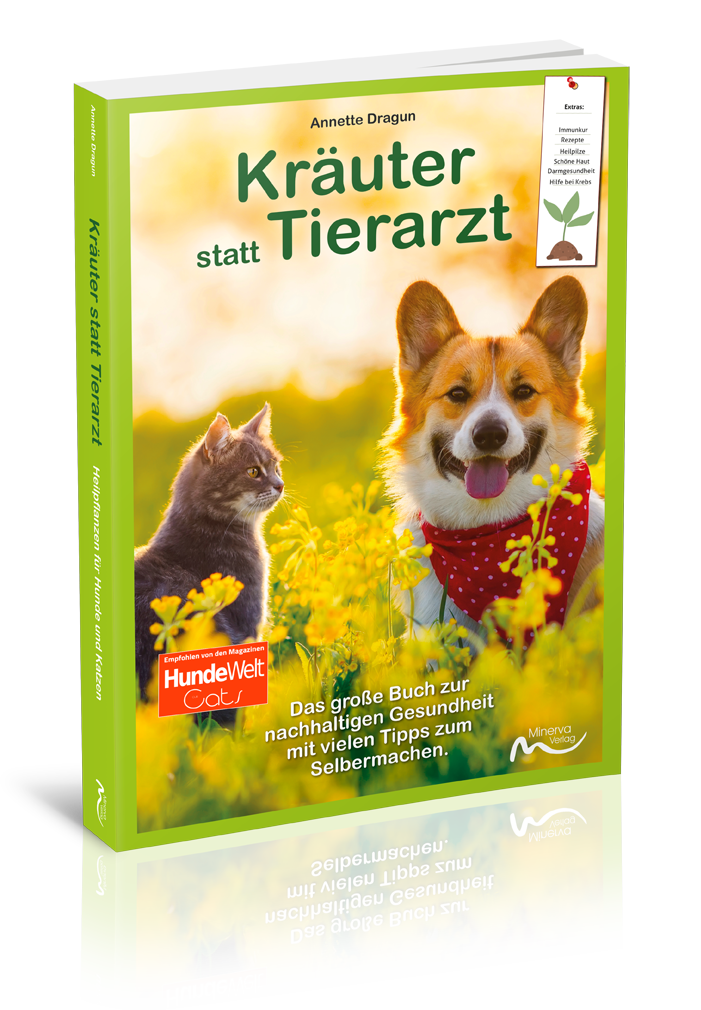 Kräuter statt Tierarzt - Heilpflanzen für Hunde und Katzen (Print,Buch)