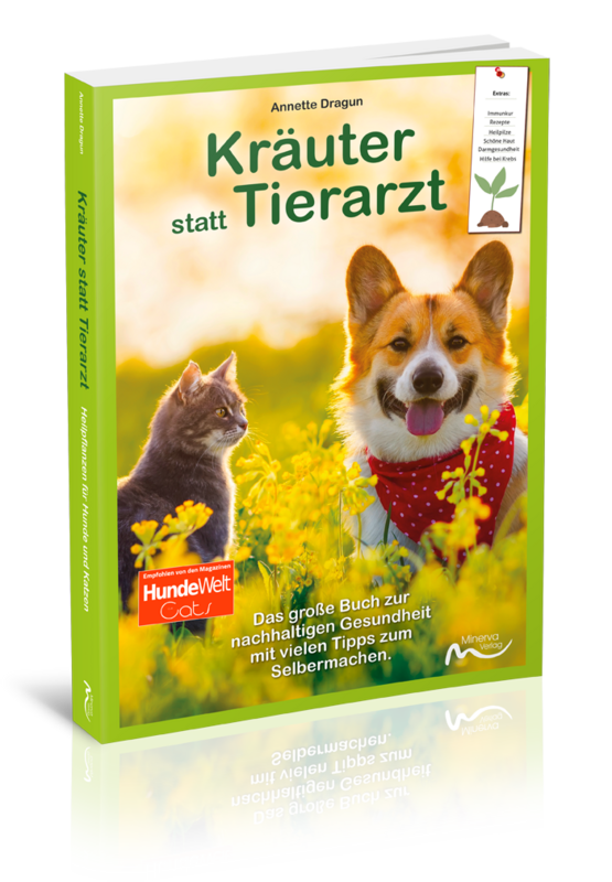 Kräuter statt Tierarzt - Heilpflanzen für Hunde und Katzen (Print,Buch)
