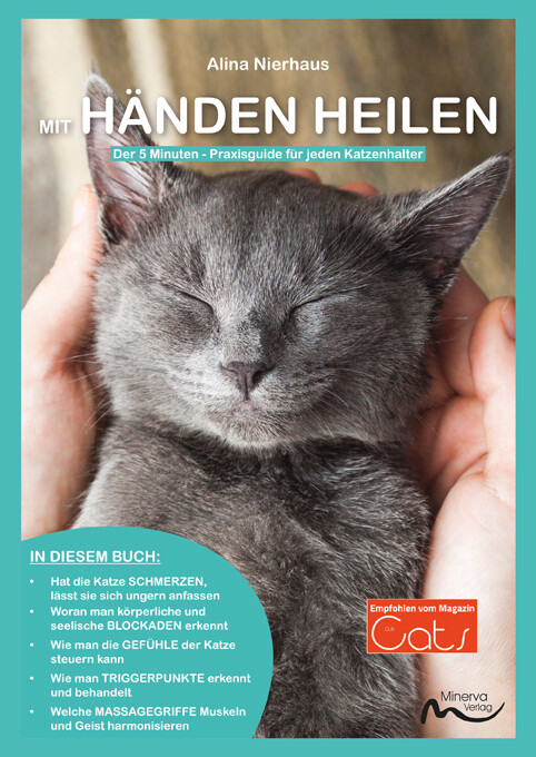 Mit Händen heilen - Der 5-Minuten-Praxisguide (Print,Buch)