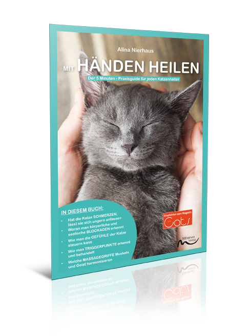 Mit Händen heilen - Der 5-Minuten-Praxisguide (Print,Buch)