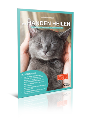 Mit Händen heilen - Der 5-Minuten-Praxisguide (Print,Buch) Mit Händen heilen - Der 5-Minuten-Praxisguide (Print,Buch)