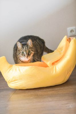 Bananen-Bett für Katzen und kleine Hunde (bis 5 kg) Bananen-Bett für Katzen und kleine Hunde (bis 5 kg)