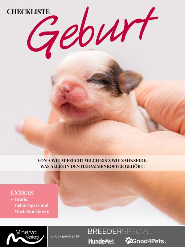 Checkliste Geburt (Digital, E-Book - PDF)