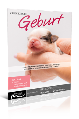 Checkliste Geburt (Digital, E-Book - PDF)