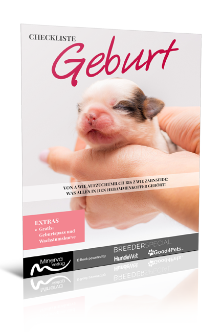 Checkliste Geburt (Digital, E-Book - PDF)