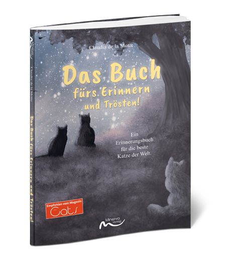Das Buch fürs Erinnern und Trösten! (Print, Buch)