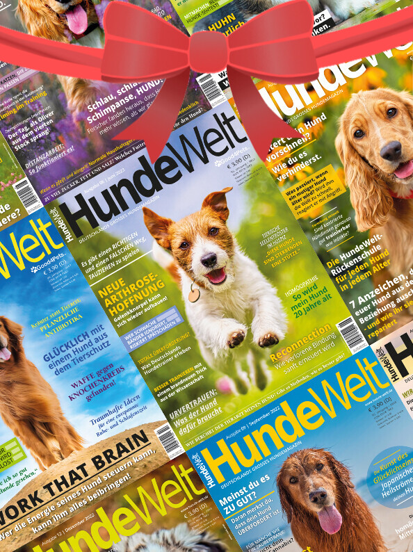 HundeWelt Geschenk-Abonnement (12 Ausgaben)
