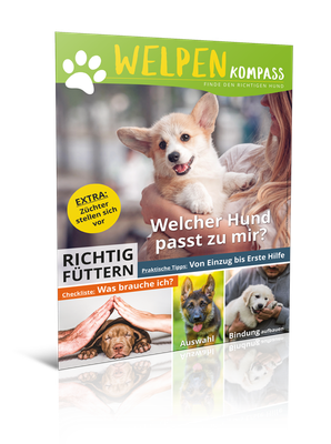 Welpenkompass (Print, Einzelheft)