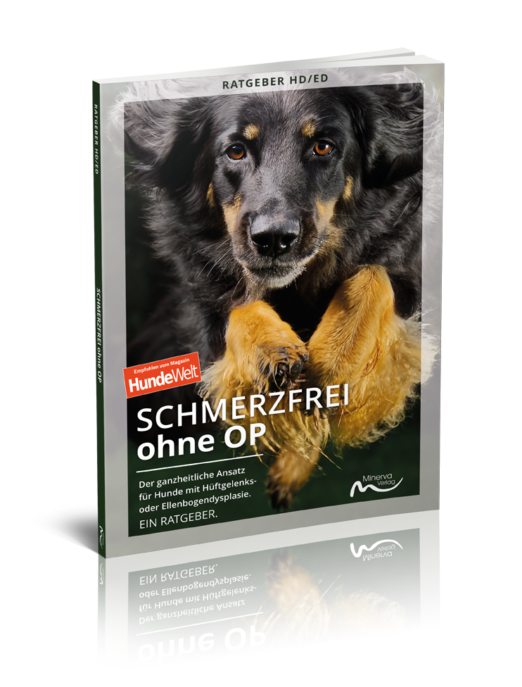 Schmerzfrei ohne OP (Print, Buch)