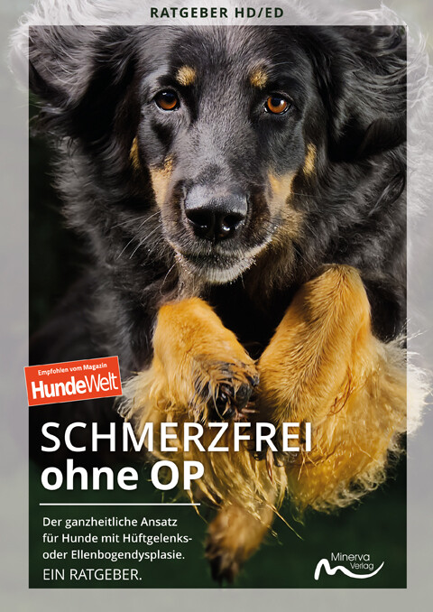 Schmerzfrei ohne OP (Print, Buch)