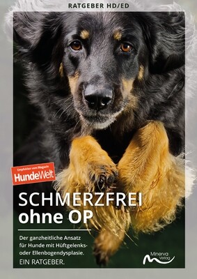 Schmerzfrei ohne OP (Print, Buch)