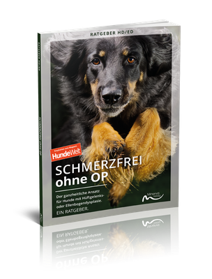 Schmerzfrei ohne OP (Print, Buch)