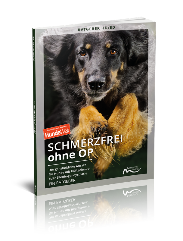 Schmerzfrei ohne OP (Print, Buch)