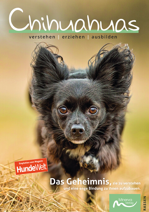 Chihuahuas verstehen | erziehen | ausbilden (Print, Buch)