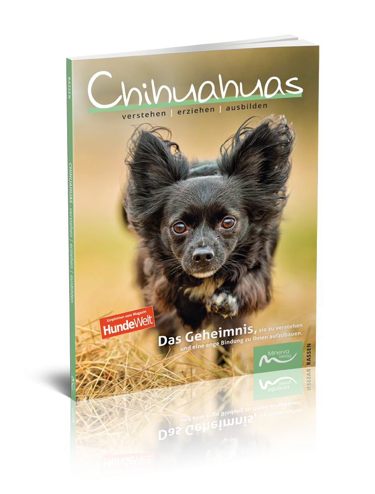 Chihuahuas verstehen | erziehen | ausbilden (Print, Buch)