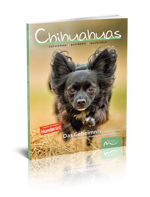 Chihuahuas verstehen | erziehen | ausbilden (Print, Buch)