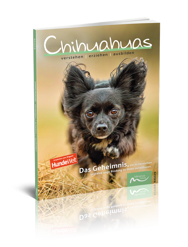 Chihuahuas verstehen | erziehen | ausbilden (Print, Buch)