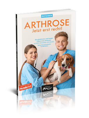Arthrose - Jetzt erst recht! (Print, Buch)