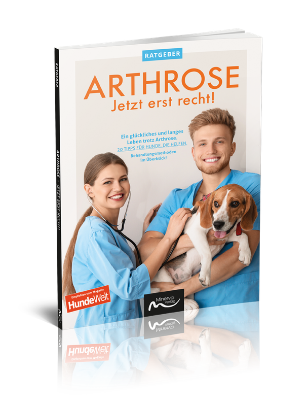 Arthrose - Jetzt erst recht! (Print, Buch)