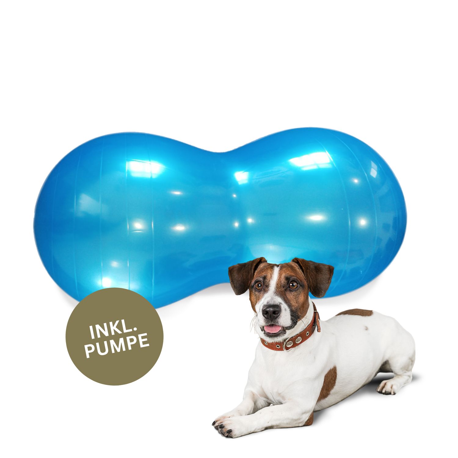 Wolf Pack® FLOW | Better4Pets-Edition - Physio Peanut Ball für Mensch & Tier - Jetzt bei www.good4pets.store Wolf Pack® FLOW | Better4Pets-Edition - Physio Peanut Ball für Mensch & Tier - Jetzt bei www.good4pets.store