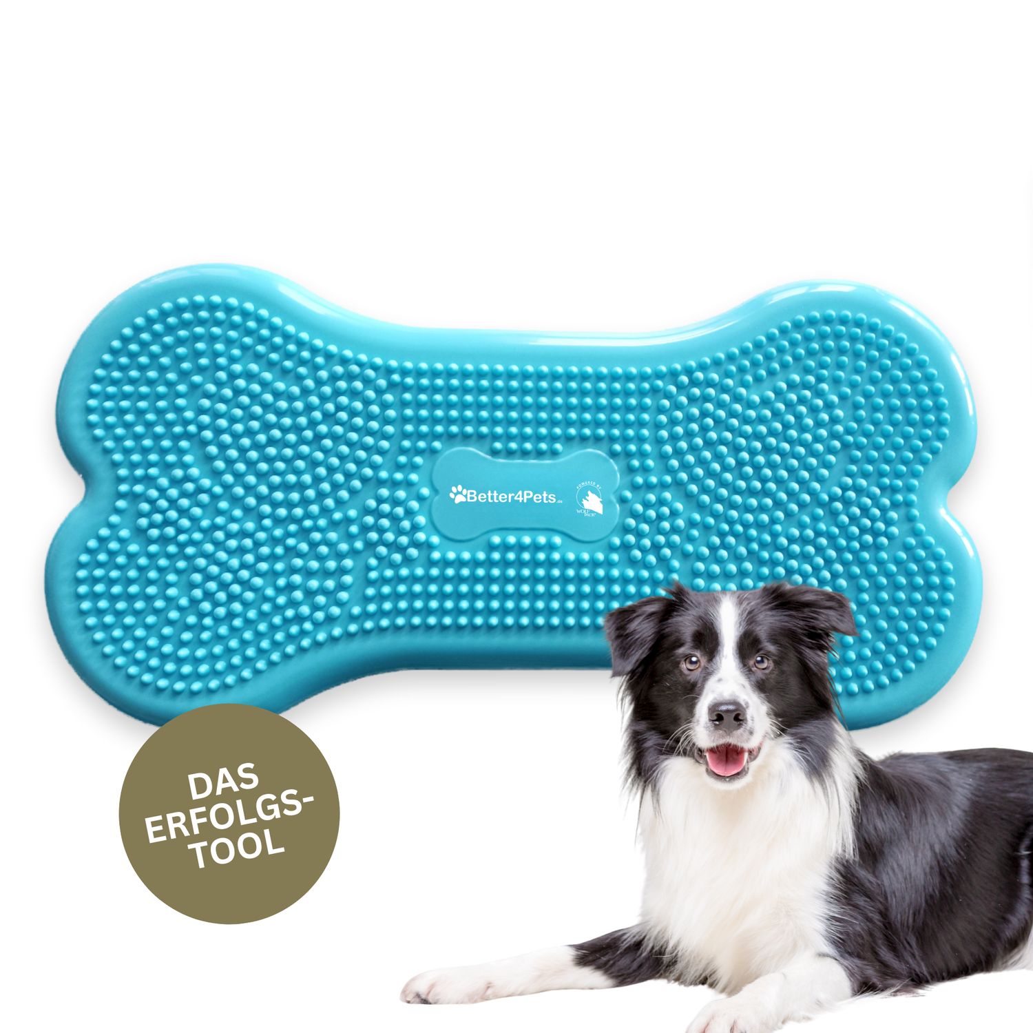 Wolf Pack® BLUE | Better4Pets-Edition - Fitness Dog Bone/Trainingsgerät für Hunde