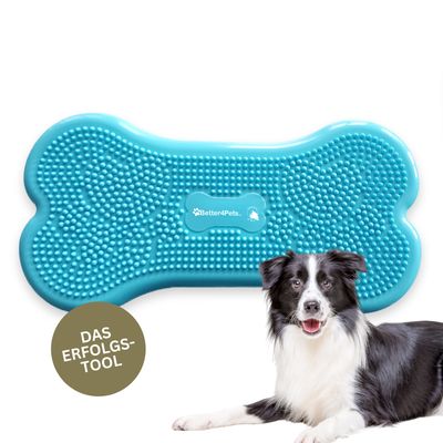 Wolf Pack® BLUE | Better4Pets-Edition - Fitness Dog Bone/Trainingsgerät für Hunde