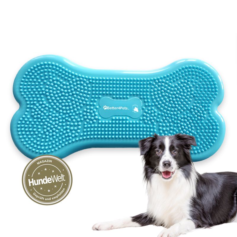 Wolf Pack® BLUE | Better4Pets-Edition - Fitness Dog Bone/Trainingsgerät für Hunde