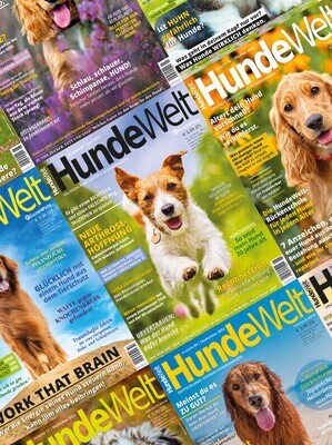 HundeWelt 2-Jahres-Abonnement (24 Ausgaben)