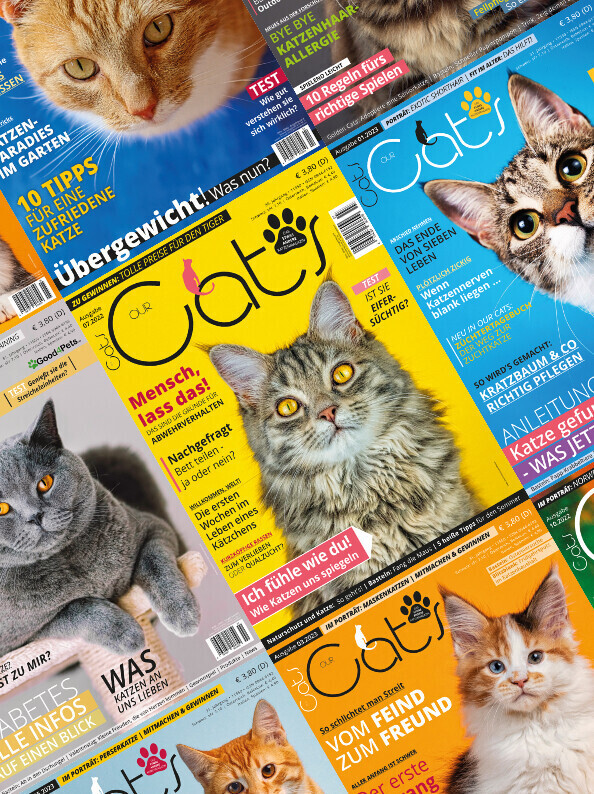 Our Cats 2-Jahres-Abonnement (24 Ausgaben)