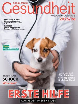 Ratgeber Gesundheit (Digital, E-Book - PDF)