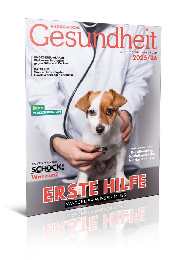 Ratgeber Gesundheit (Digital, E-Book - PDF)