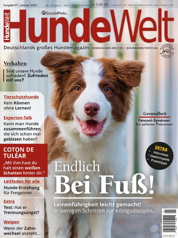 HundeWelt 01.2025 (Print, Einzelheft)