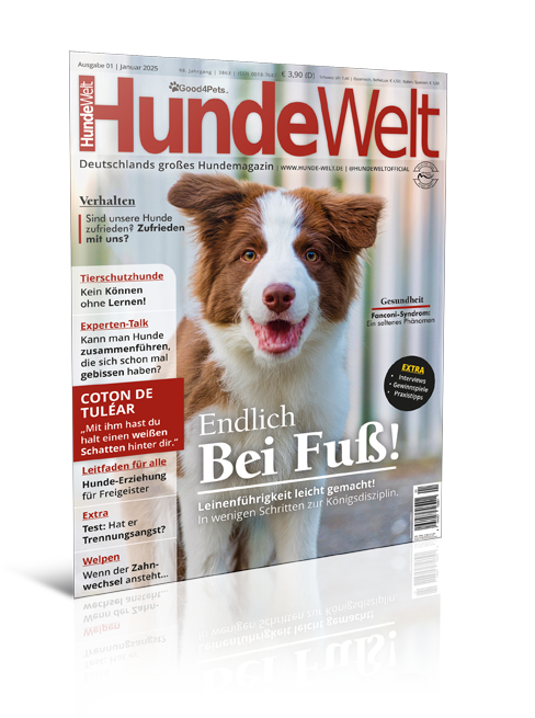HundeWelt 01.2025 (Print, Einzelheft) HundeWelt 01.2025 (Print, Einzelheft)