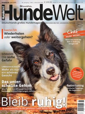 HundeWelt 06.2025 (Print, Einzelheft)