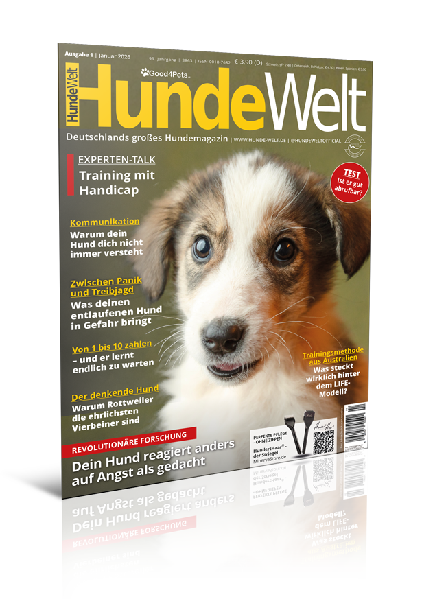 HundeWelt 01.2026 (Digital, Einzelheft)