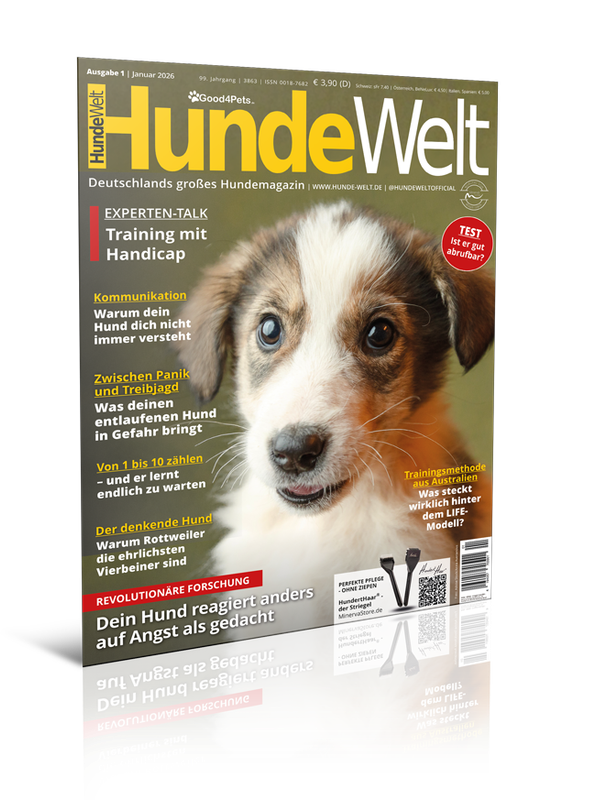 HundeWelt 01.2026 (Digital, Einzelheft)