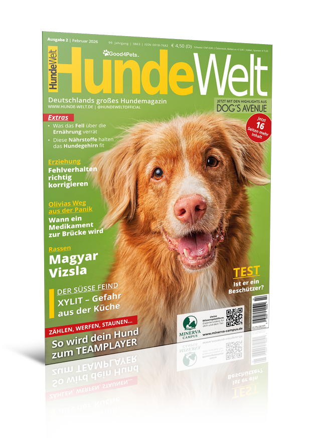 HundeWelt 02.2026 (Digital, Einzelheft)
