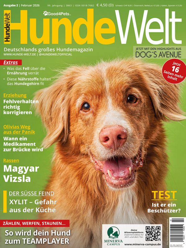 HundeWelt 02.2026 (Print, Einzelheft)