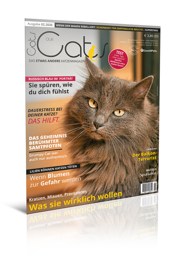 Our Cats 02.2026 (Digital, Einzelheft)