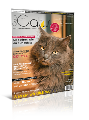 Our Cats 02.2026 (Print, Einzelheft)