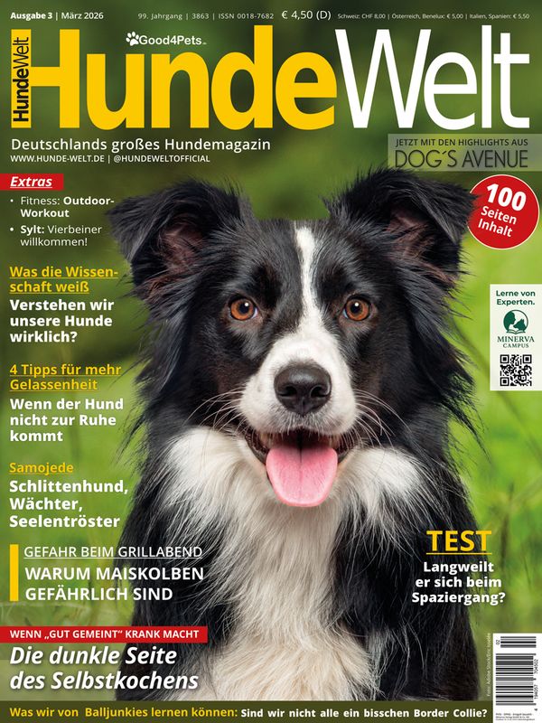 HundeWelt 03.2026 (Digital, Einzelheft)
