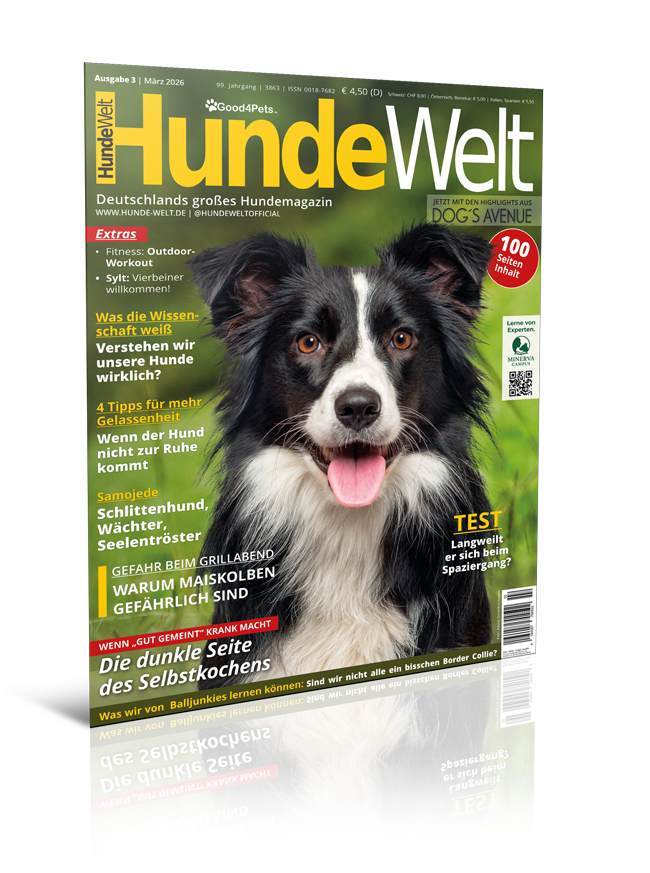 HundeWelt 03.2026 (Digital, Einzelheft)