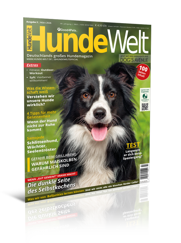 HundeWelt 03.2026 (Digital, Einzelheft)