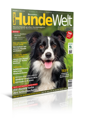 HundeWelt 03.2026 (Print, Einzelheft)